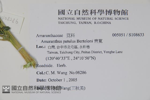 青莧藏品圖，第4張