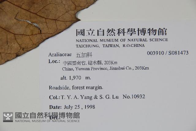 登錄號:S081473藏品圖，第4張