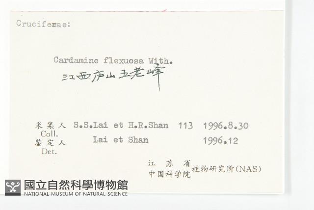 Small-leaved bittercress Collection Image, Figure 3, Total 3 Figures