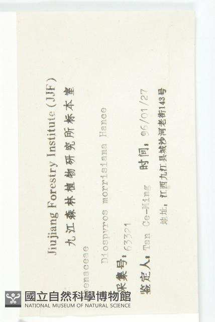 山紅柿藏品圖，第3張