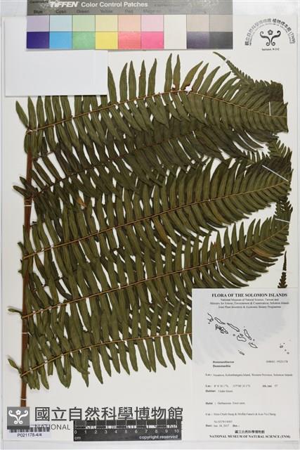 登錄號:P021178藏品圖，第4張