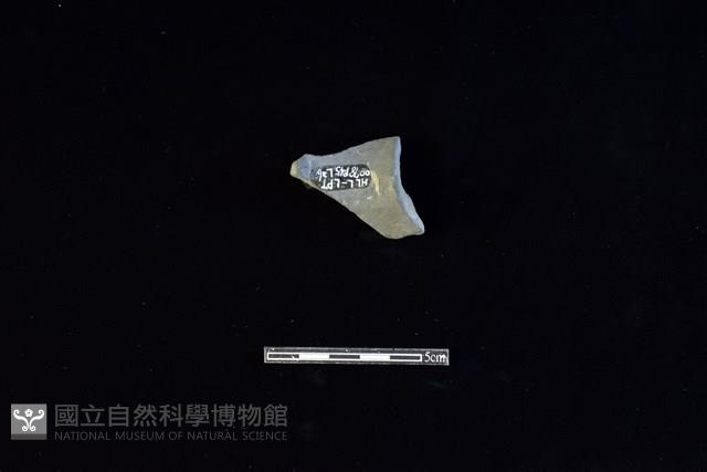 陶片藏品圖，第2張