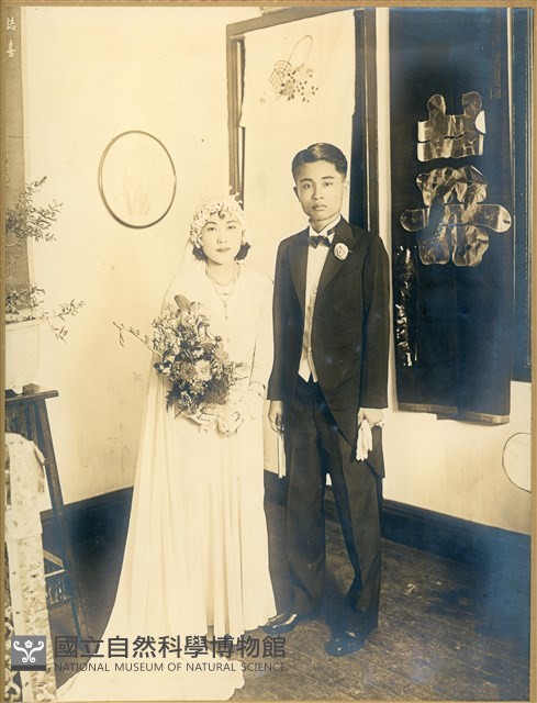 結婚照藏品圖，第1張
