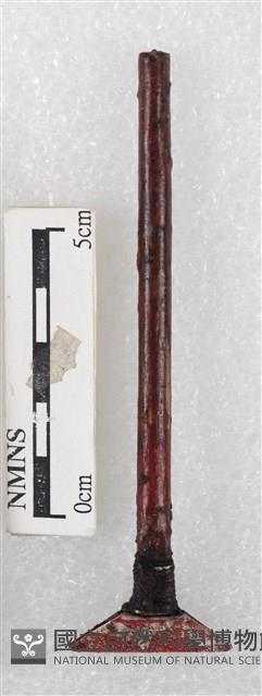 蠟刀藏品圖，第2張