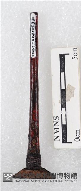 蠟刀藏品圖，第2張