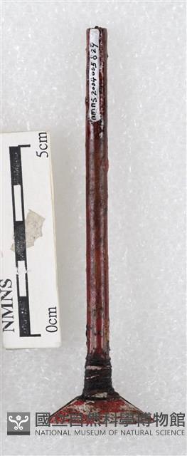 蠟刀藏品圖，第3張