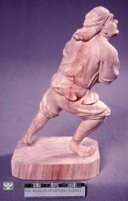 拉繩的水手藏品圖，第2張