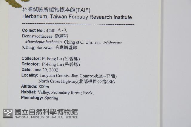 Accession Number:P010945 Collection Image, Figure 12, Total 15 Figures