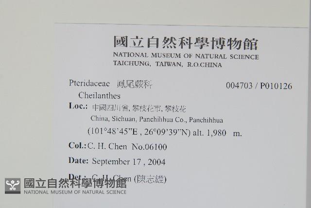 登錄號:P010126藏品圖，第2張