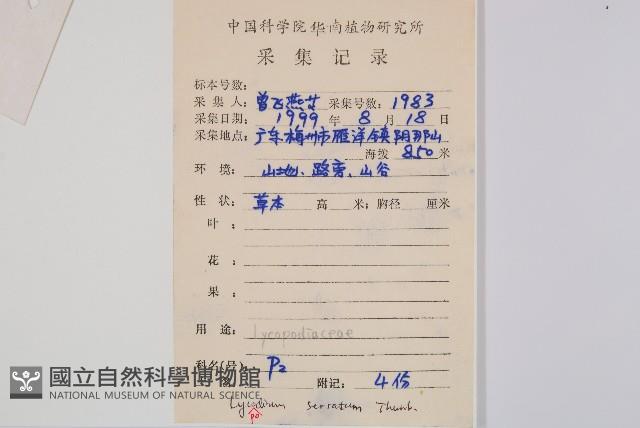 千層塔藏品圖，第2張