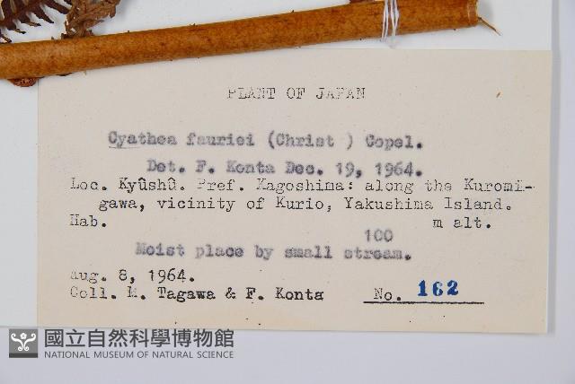 登錄號:P005726藏品圖，第2張