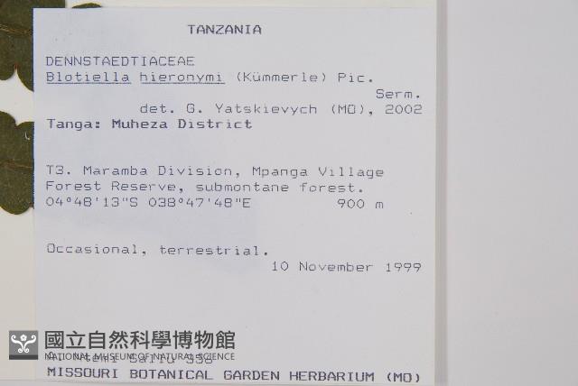 登錄號:P010026藏品圖，第2張