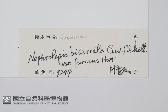 登錄號:P012626藏品圖，第2張