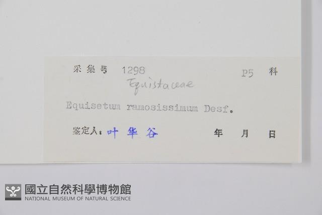 木賊藏品圖，第2張