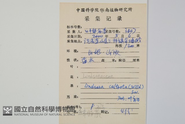 網脈鱗始蕨藏品圖，第2張
