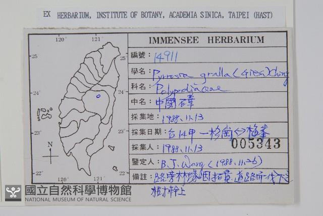 中國石葦藏品圖，第2張