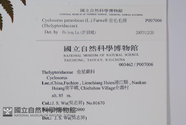 Accession Number:P007006 Collection Image, Figure 2, Total 2 Figures