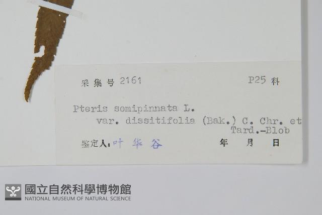 登錄號:P005506藏品圖，第2張