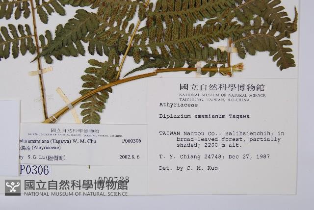 Accession Number:P000306 Collection Image, Figure 2, Total 5 Figures