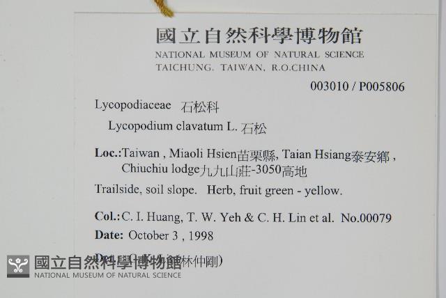 石松藏品圖，第2張