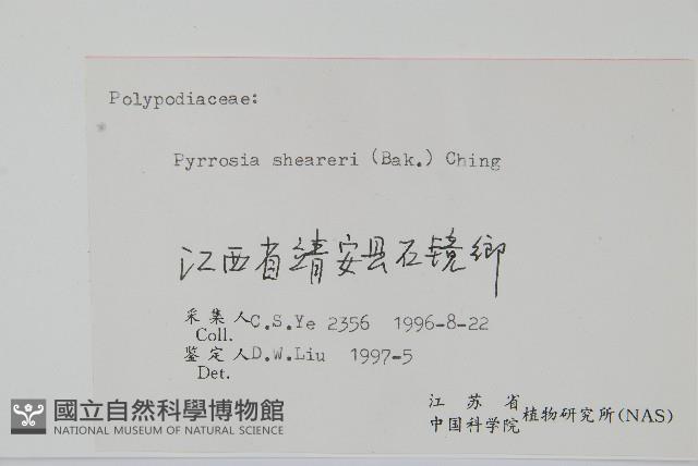 盧山石葦藏品圖，第2張