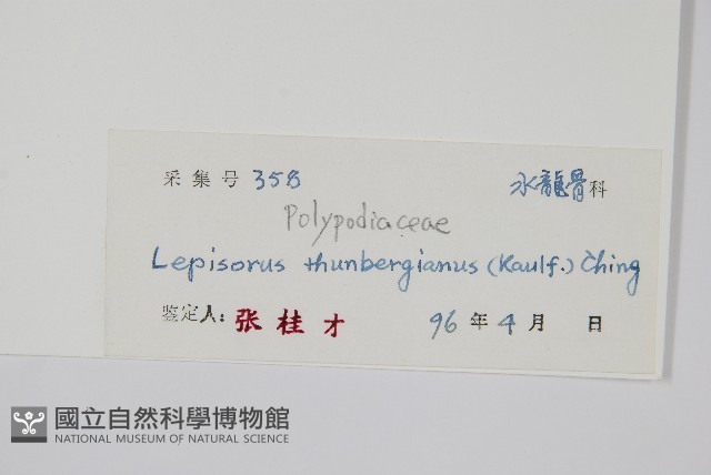 瓦葦藏品圖，第2張