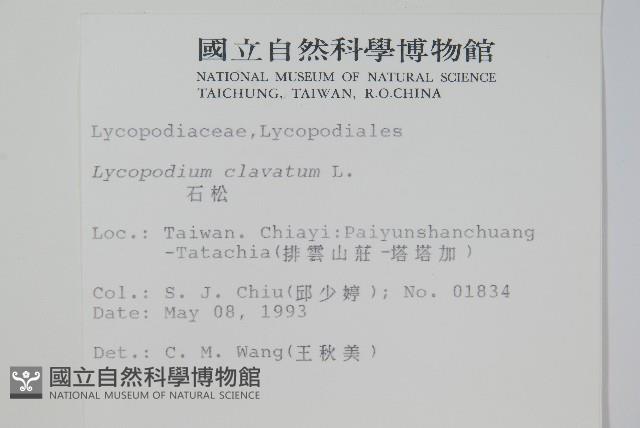 石松藏品圖，第2張