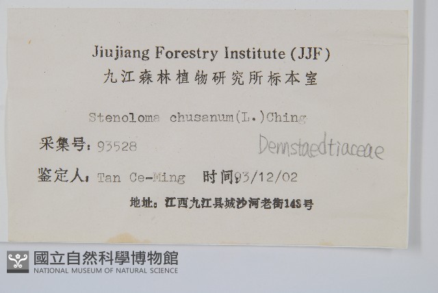 烏蕨藏品圖，第2張