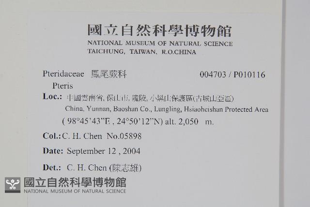 登錄號:P010116藏品圖，第2張