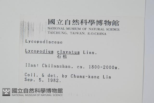 石松藏品圖，第2張