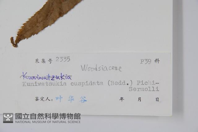 登錄號:P005116藏品圖，第2張