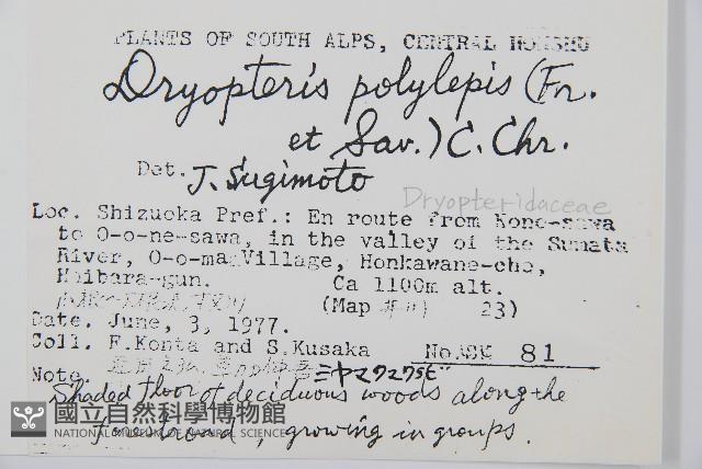 登錄號:P005716藏品圖，第2張