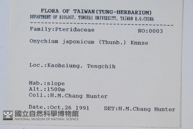 日本金粉蕨藏品圖，第2張