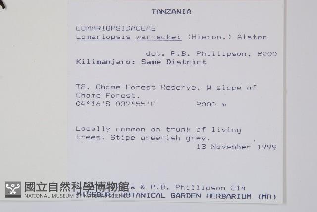 登錄號:P010016藏品圖，第2張