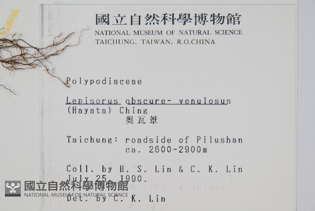 麟瓦葦、川上氏瓦葦藏品圖，第2張