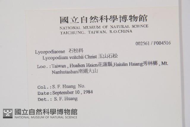 玉山石松藏品圖，第2張