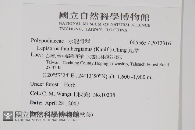 瓦葦藏品圖，第2張