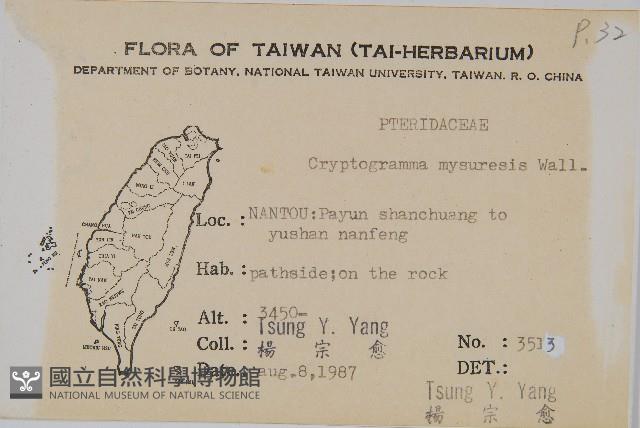 登錄號:P008116藏品圖，第2張