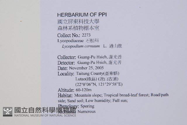 過山龍藏品圖，第2張