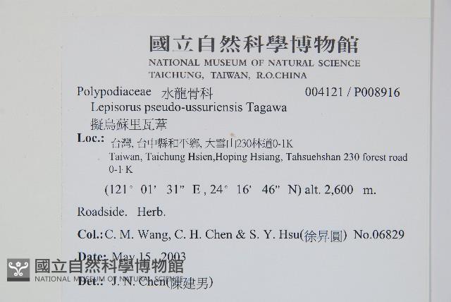 擬芨瓦葦藏品圖，第2張