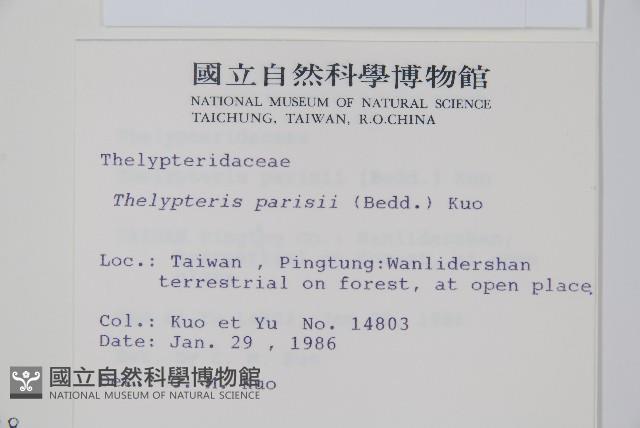 登錄號:P000956藏品圖，第2張