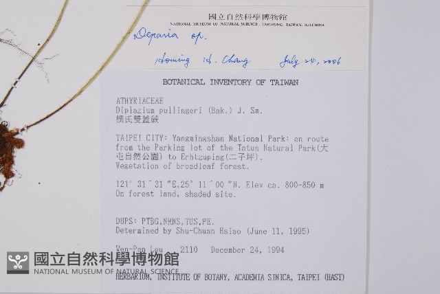登錄號:P003156藏品圖，第2張