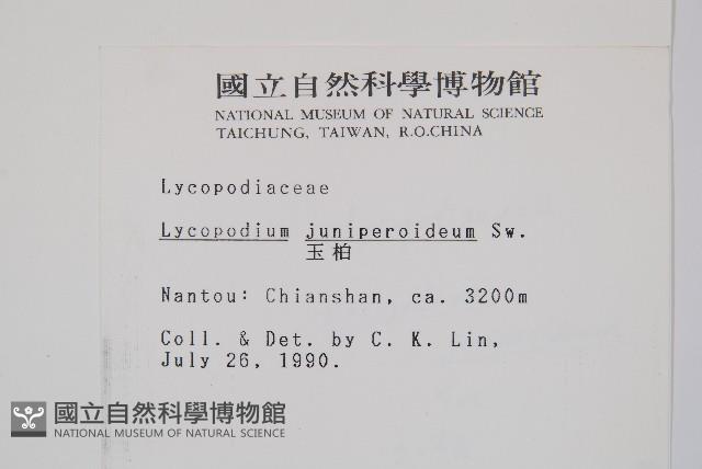 玉柏藏品圖，第2張