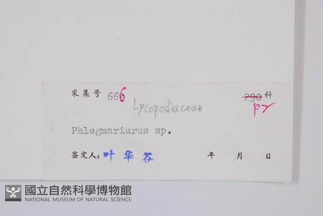 登錄號:P005056藏品圖，第2張