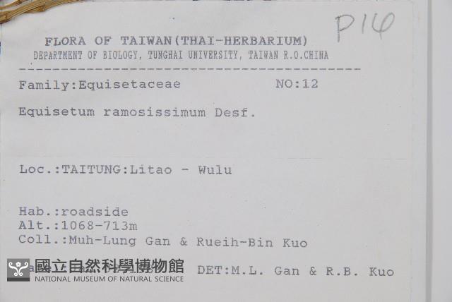 木賊藏品圖，第2張