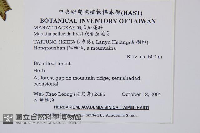 觀音座蓮舅藏品圖，第2張