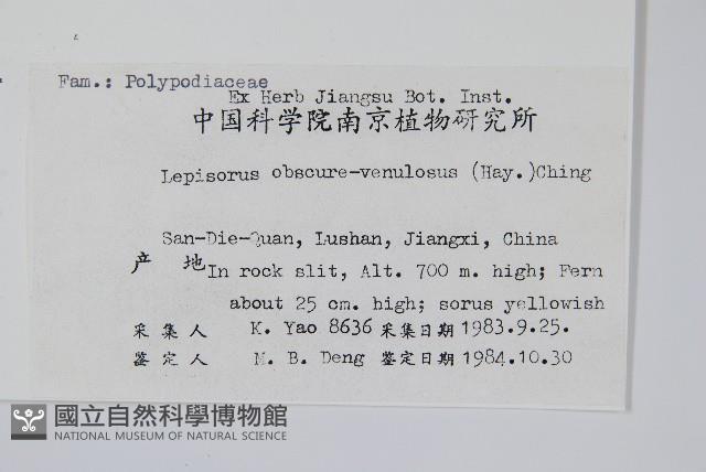 粵瓦葦藏品圖，第2張