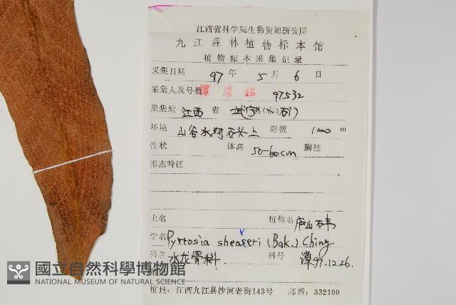 盧山石葦藏品圖，第2張