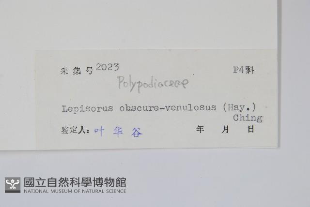 粵瓦葦藏品圖，第2張