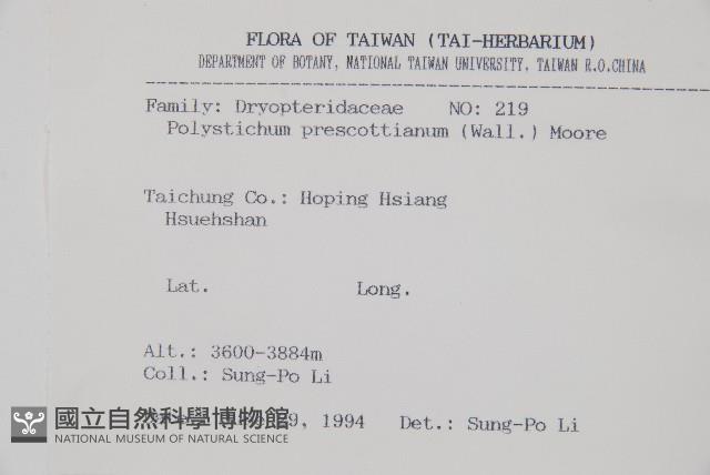 高山耳蕨藏品圖，第2張